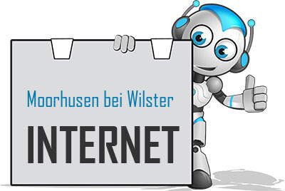 Internet in Moorhusen bei Wilster